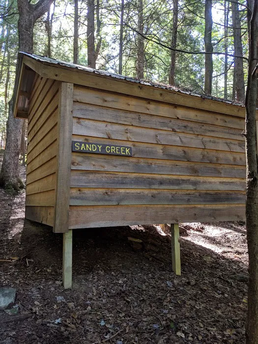 Adirondack Shelter - Sandy Creek Trail Picture 2