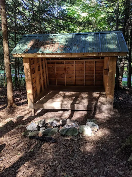 Adirondack Shelter - Sandy Creek Trail Picture 1
