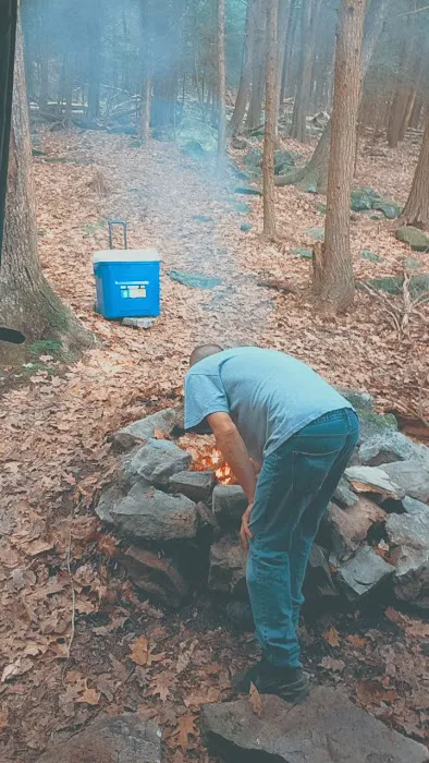 Adirondack Shelter - Sandy Creek Trail Picture 4