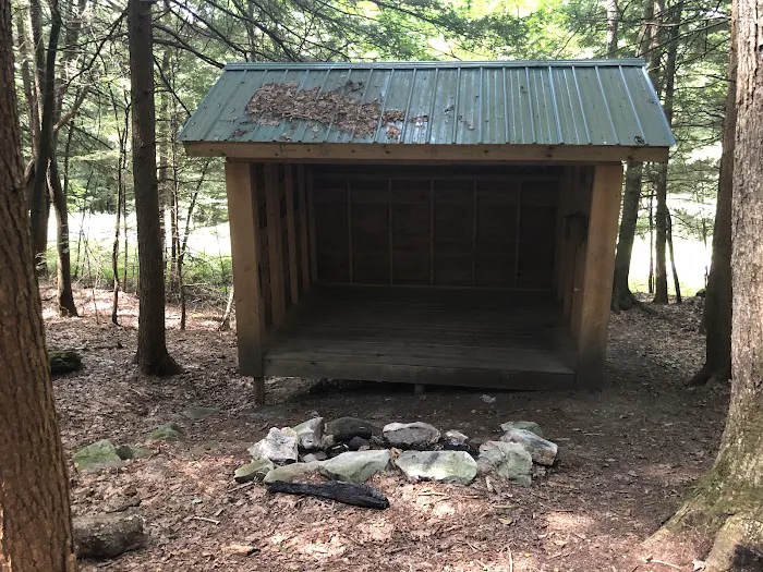 Adirondack Shelter - Sandy Creek Trail Picture 8