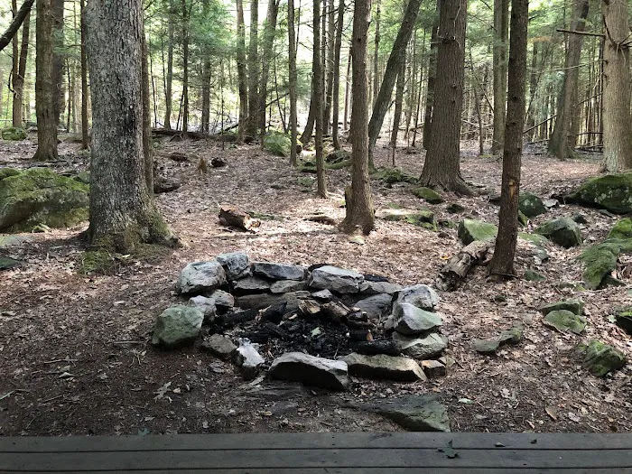 Adirondack Shelter - Sandy Creek Trail Picture 7
