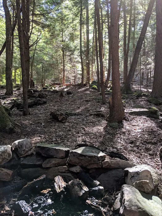 Adirondack Shelter - Sandy Creek Trail Picture 9
