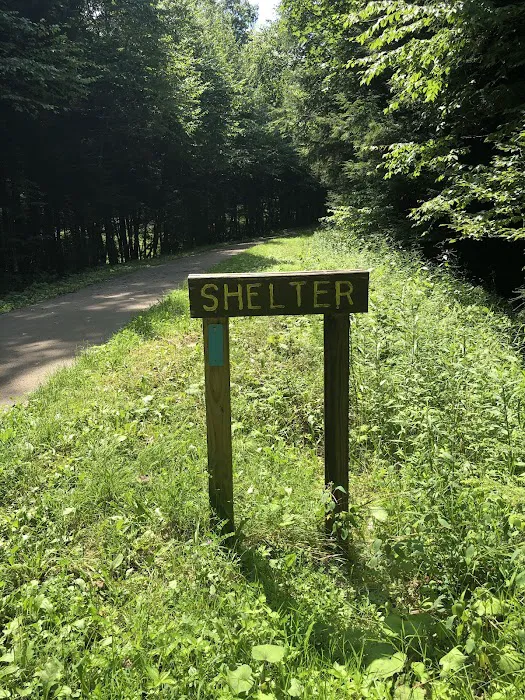 Adirondack Shelter - Sandy Creek Trail Picture 6