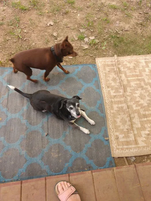 Marlowe's Scenic River Campground Picture 6