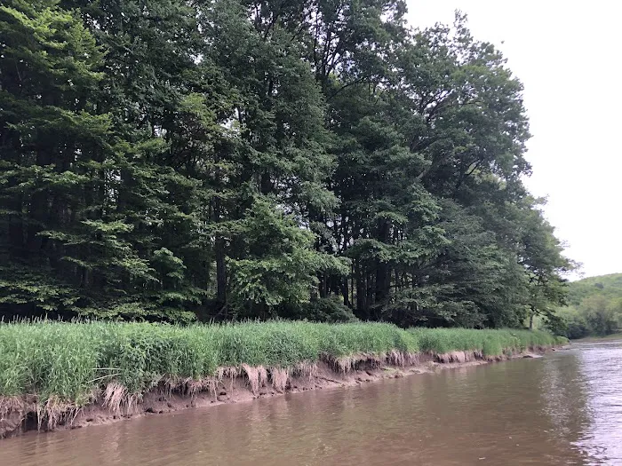 Marlowe's Scenic River Campground Picture 5