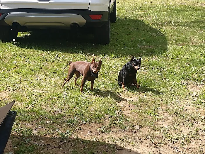 Marlowe's Scenic River Campground Picture 7