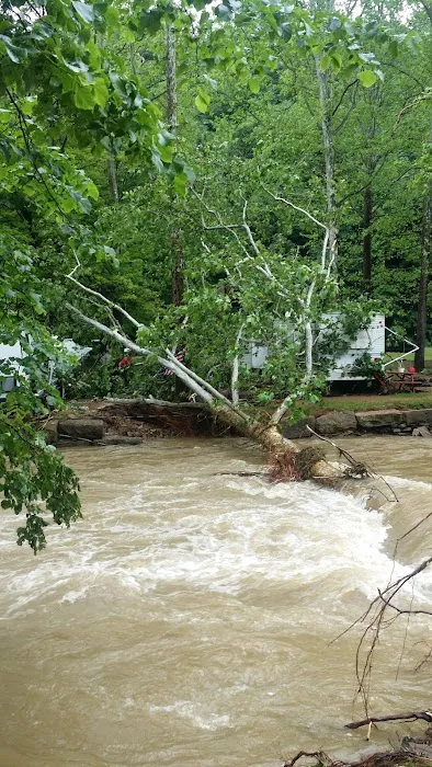 Marlowe's Scenic River Campground Picture 3