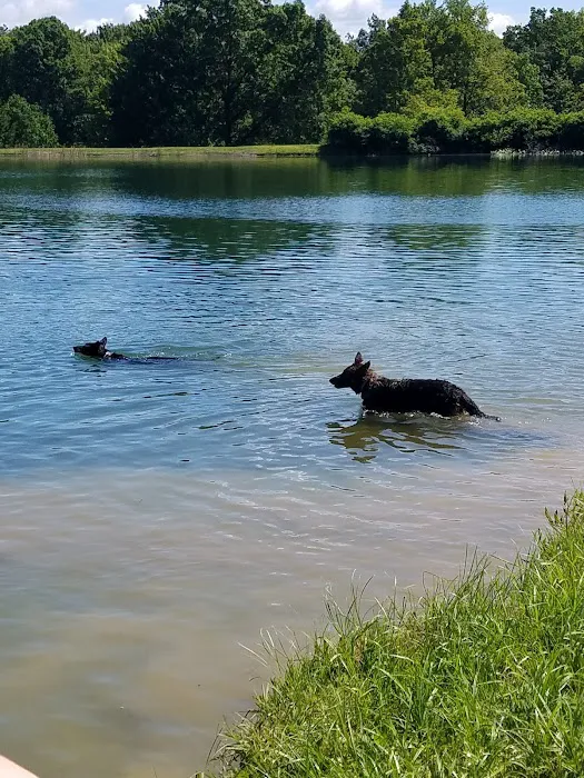 Moraine Camplands Picture 9