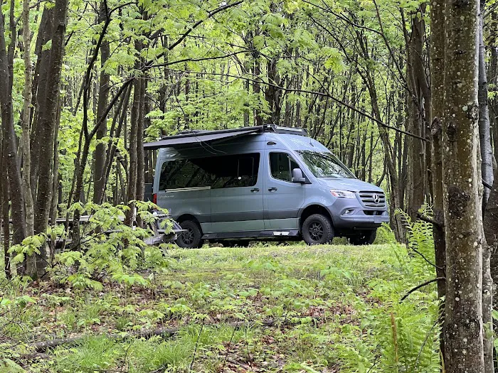 Forbes State Forest Motorized Site 6 Picture 9