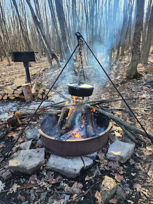 Forbes State Forest Motorized Site 6 Picture 5