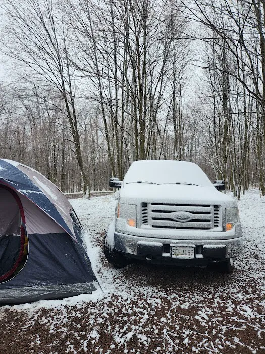 Forbes State Forest Motorized Site 6 Picture 10