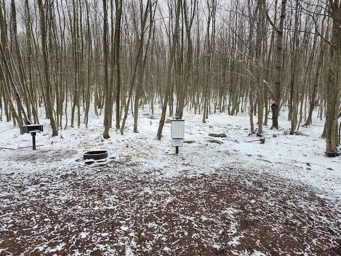 Forbes State Forest Motorized Site 6 Picture 8