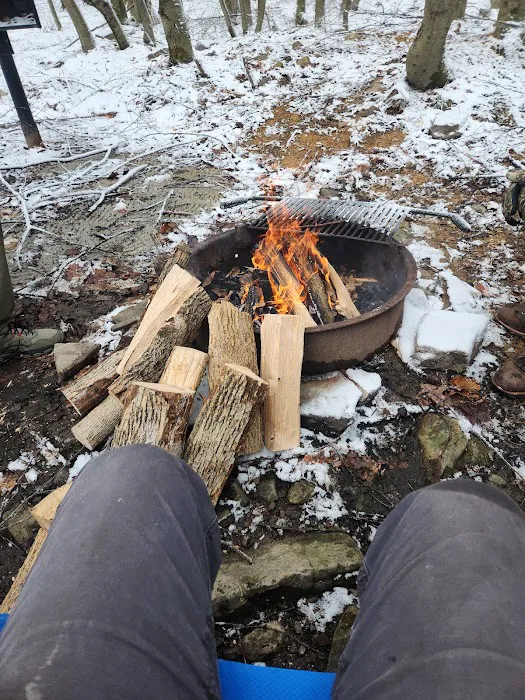 Forbes State Forest Motorized Site 6 Picture 1