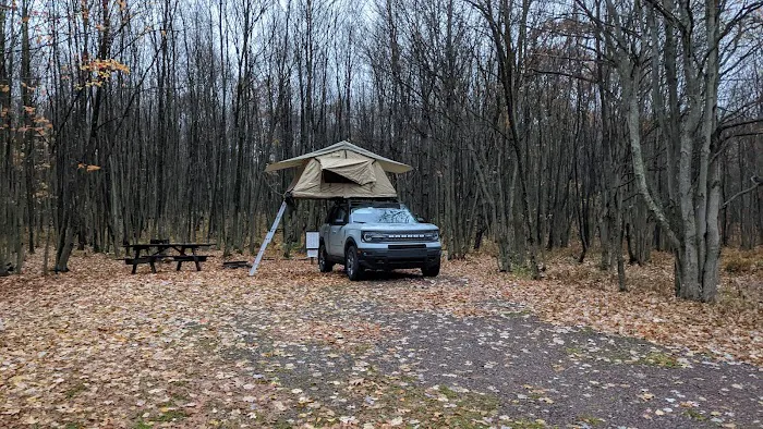 Forbes State Forest Motorized Site 6 Picture 6