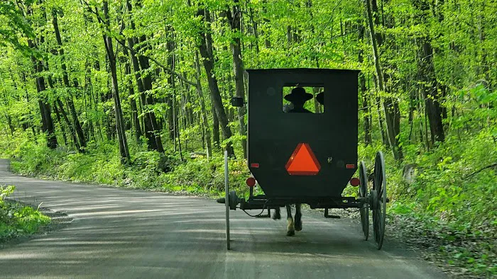 Mason-Dixon Campground Picture 4