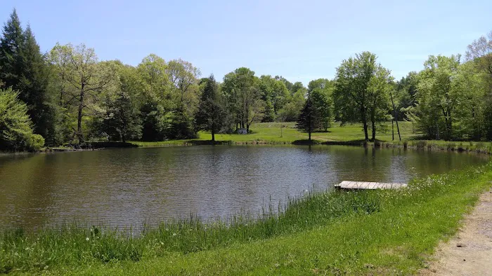 Mason-Dixon Campground Picture 5