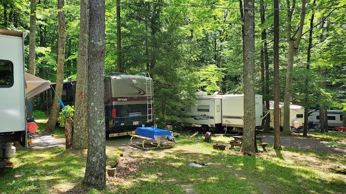 Mason-Dixon Campground Picture 8