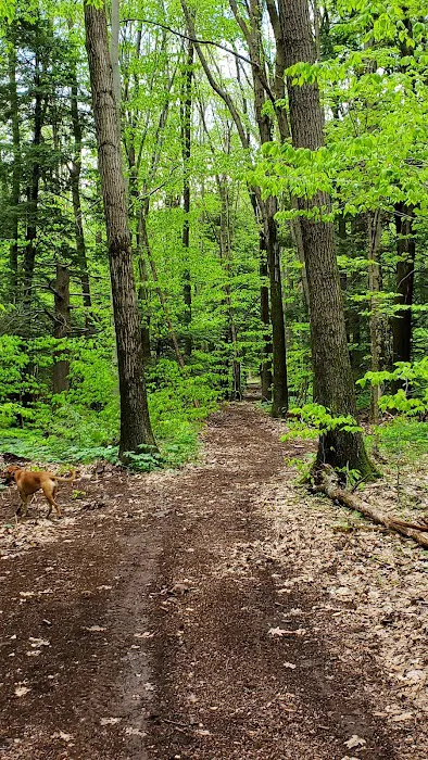 Mason-Dixon Campground Picture 9