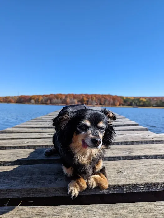 Little Meadows Campground Picture 5