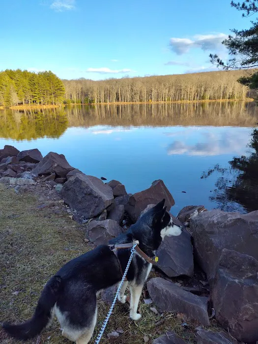 Little Meadows Campground Picture 10