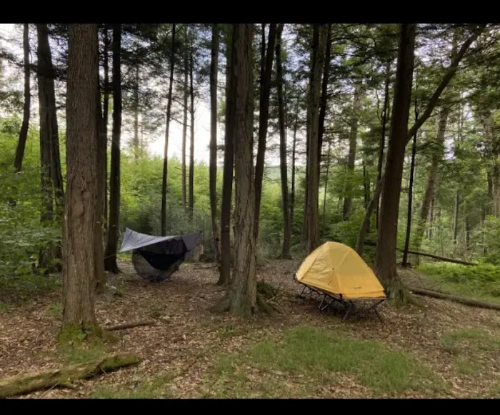 Sleepy Hollow Campground Picture 1