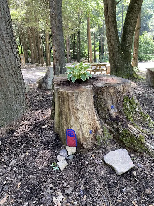 Sleepy Hollow Campground Picture 7