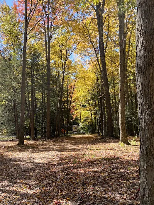 Sleepy Hollow Campground Picture 8