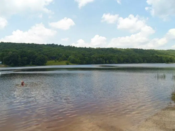 Little Brown Lake Campground Picture 7