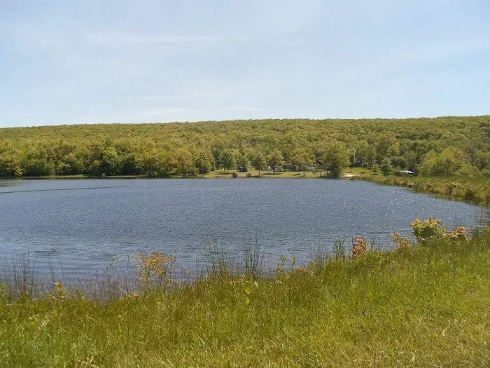 Little Brown Lake Campground Picture 8