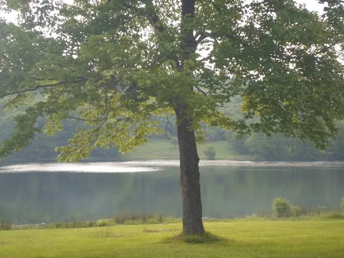 Little Brown Lake Campground Picture 5