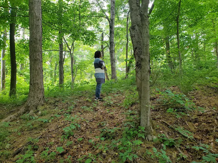 Indian Creek Camplands Inc Picture 3