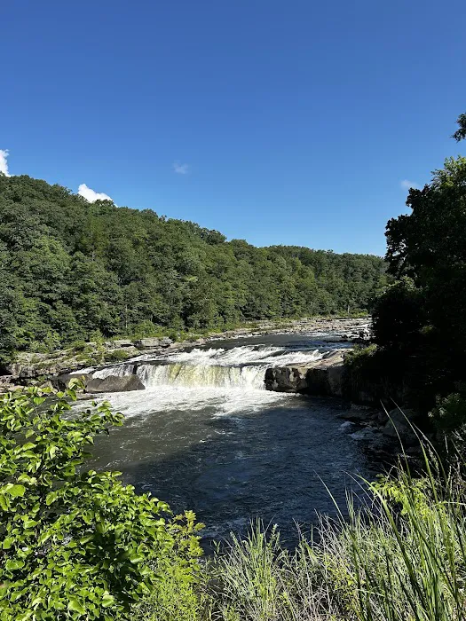 Indian Creek Camplands Inc Picture 6