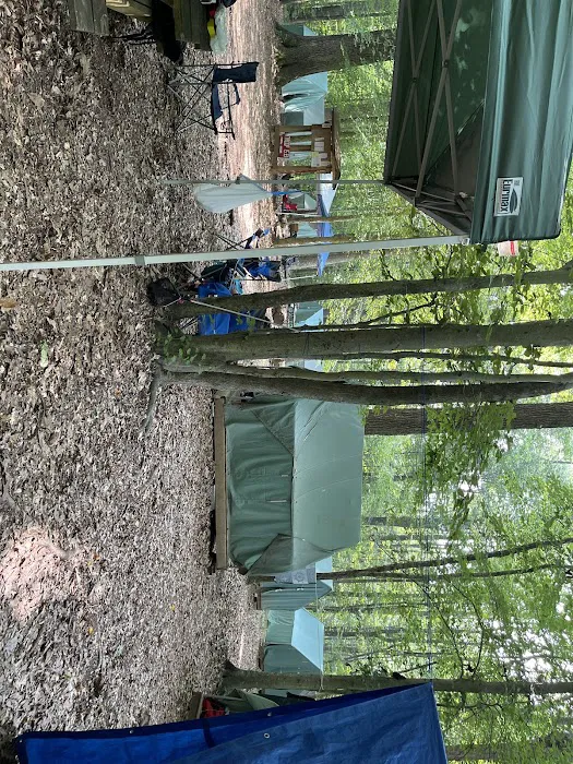 Saunders 14 Picture 2