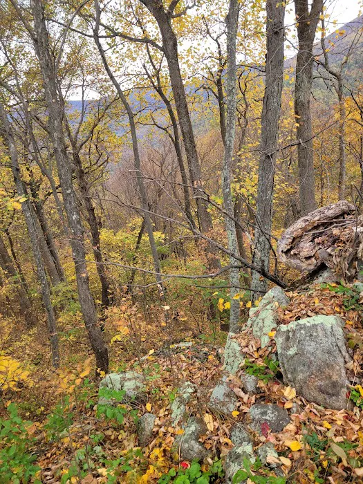 Graves Mountain Farm Campground Picture 5