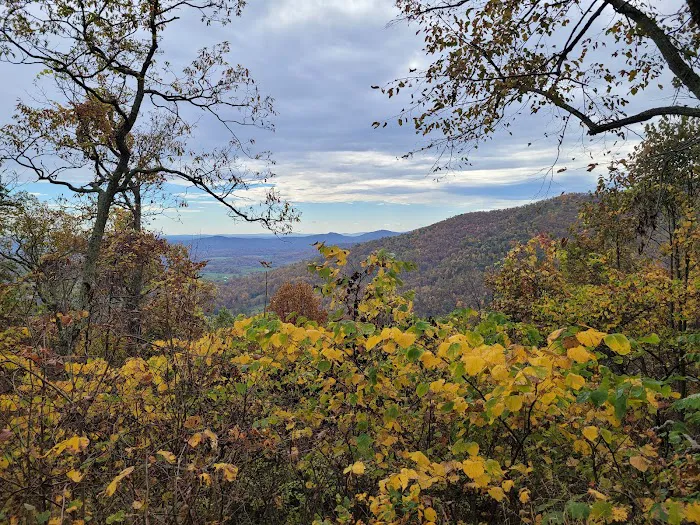 Graves Mountain Farm Campground Picture 9