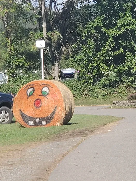 Graves Mountain Farm Campground Picture 2