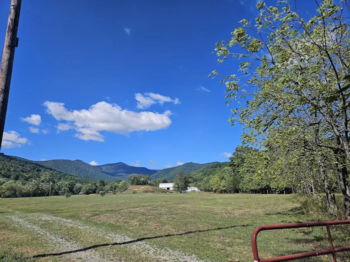 Graves Mountain Farm Campground Picture 6