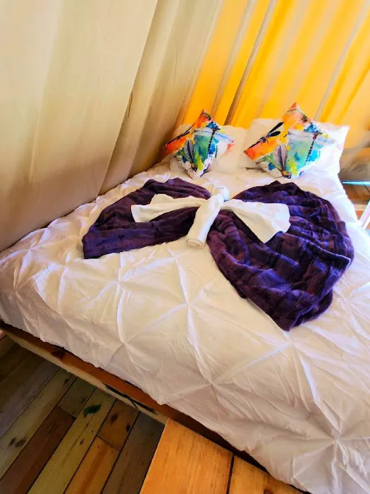 Dragonfly Meadows VA Picture 10