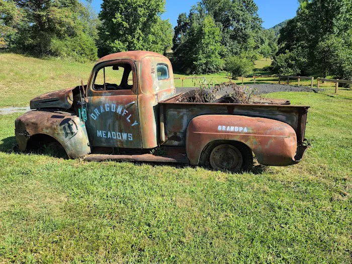 Dragonfly Meadows VA Picture 9