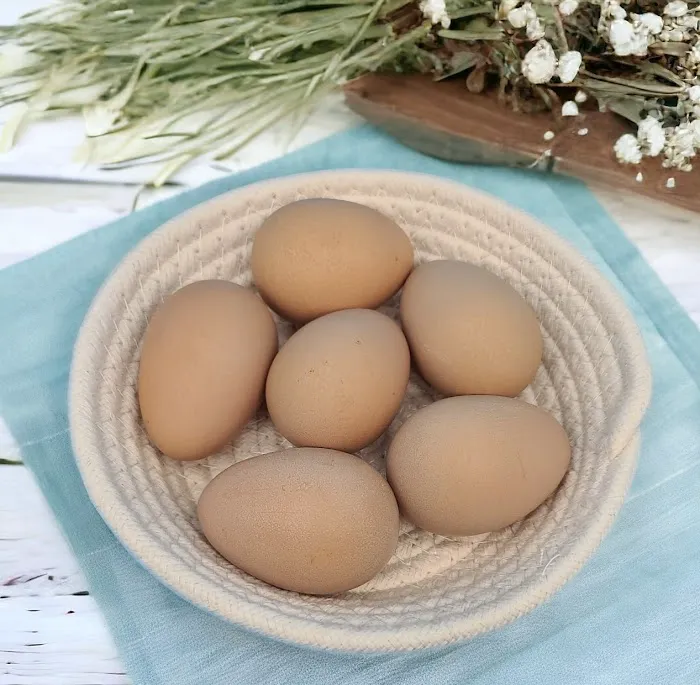 Dragonfly Meadows VA Picture 7