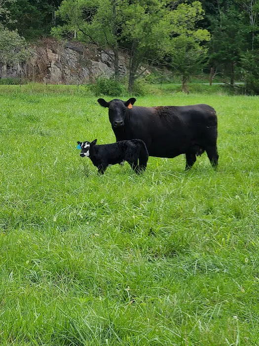 Dragonfly Meadows VA Picture 8