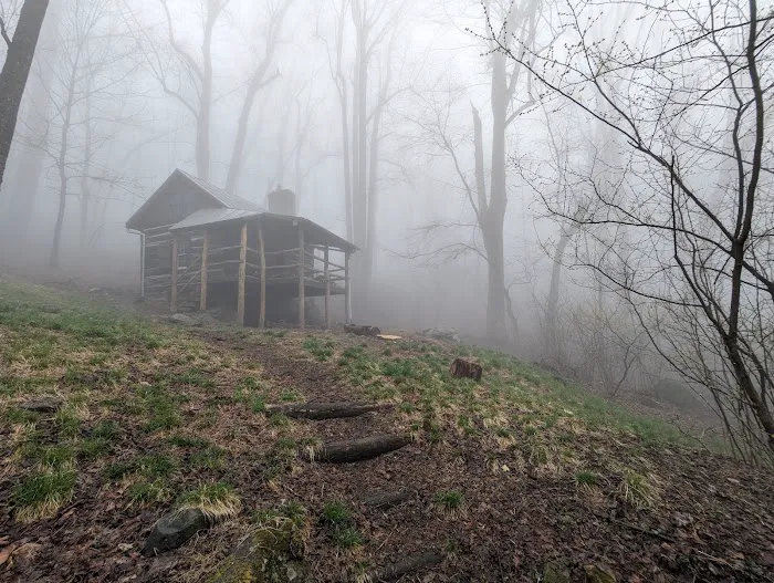 Jones Mountain Cabin Picture 1
