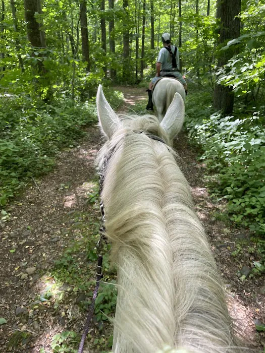 Rapidan Camps Picture 6