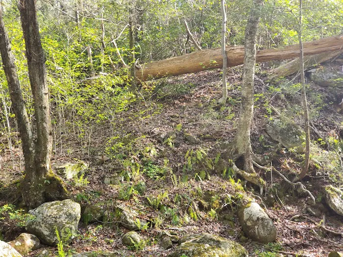 Rapidan Camps Picture 8