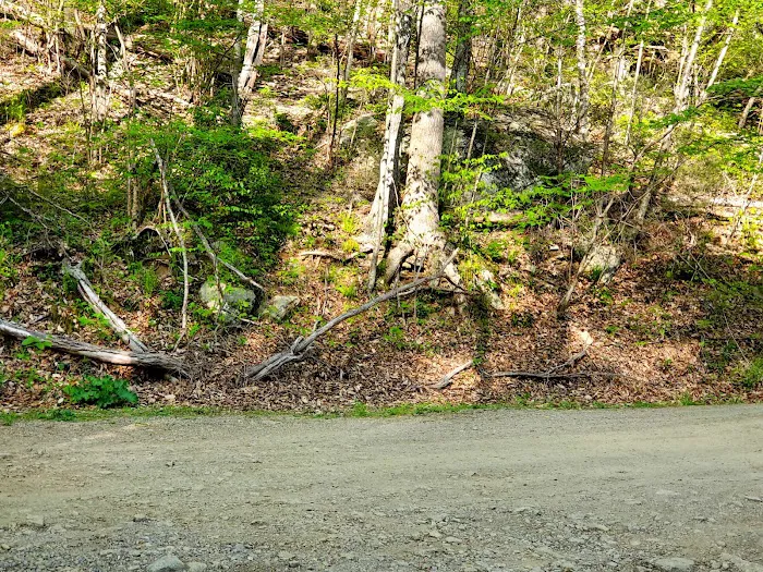 Rapidan Camps Picture 9