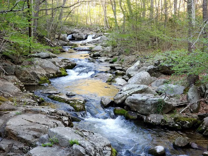 Rapidan Camps Picture 7