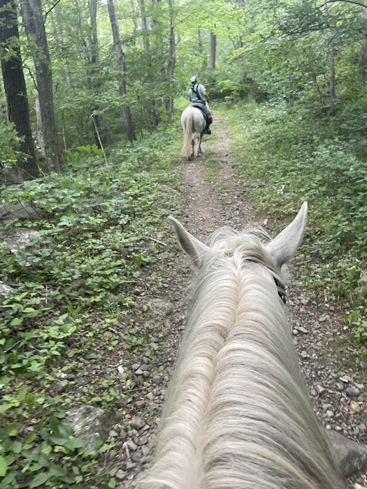 Rapidan Camps Picture 4