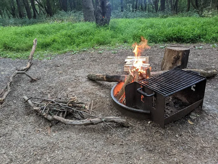 Big Meadows Campground Picture 10