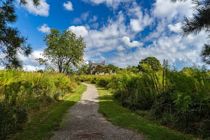 Machicomoco State Park Campground Picture 3