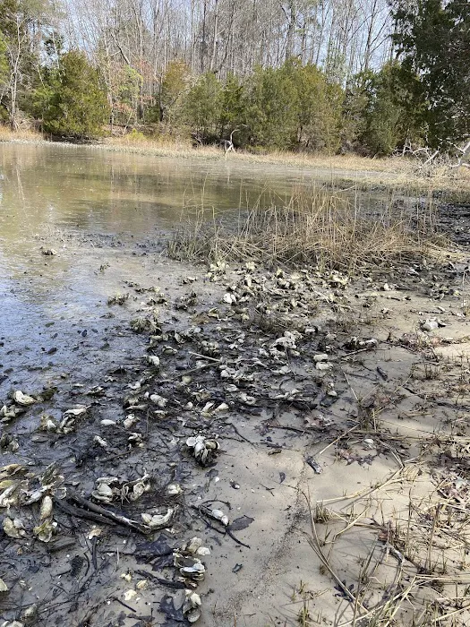 Machicomoco State Park Campground Picture 8